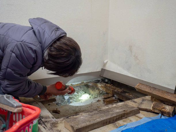 Best Comprehensive Air Testing for Mold Contaminants  in Beverly Hills, FL