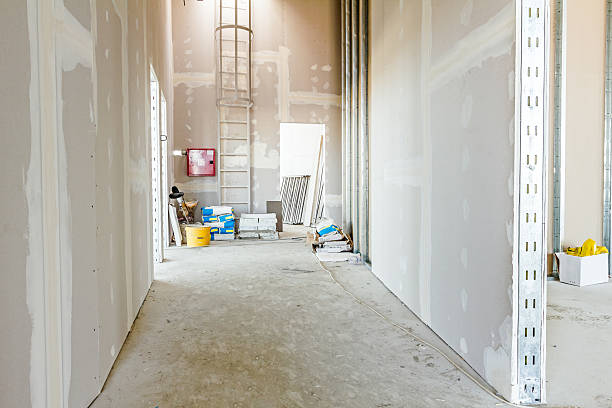 Best Indoor Air Quality Assessment  in Beverly Hills, FL