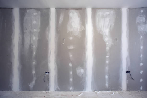 Professional Mold Removal in Beverly Hills, FL